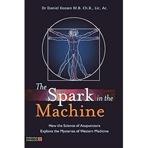 Amazon.co.jp: Chinese Medicine: 洋書